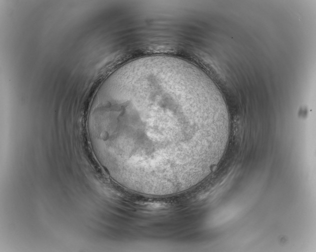 X0000090490741200708102218