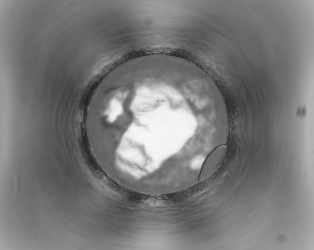 X0000090490742200708102218