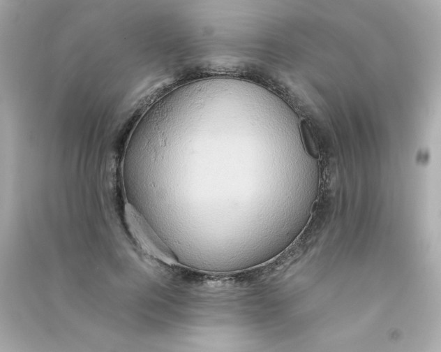 X0000090490744200708102218