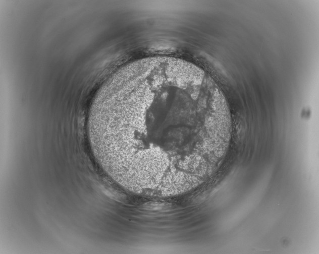 X0000090490745200708102218