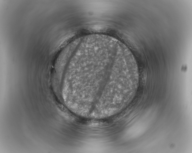 X0000090490746200708102218