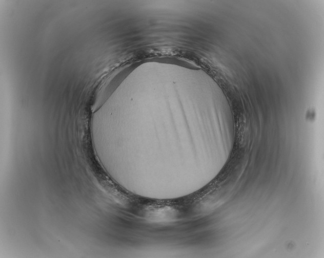 X0000090490747200708102218