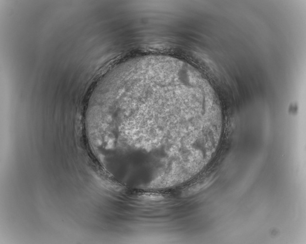 X0000090490749200708102218