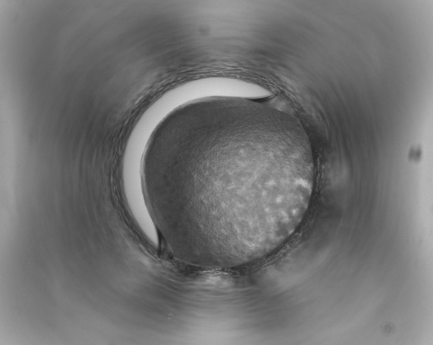 X0000090490750200708102218