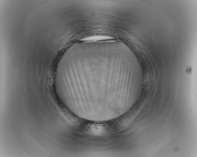 X0000090490751200708102218