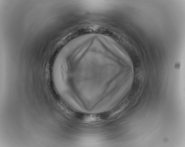 X0000090490754200708102218