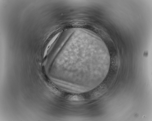 X0000090490755200708102218