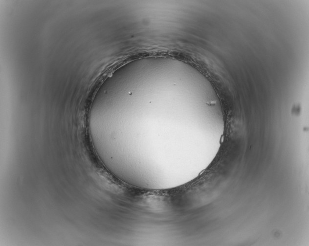 X0000090490756200708102218