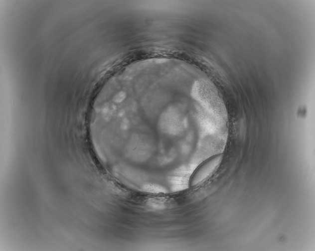 X0000090490757200708102218