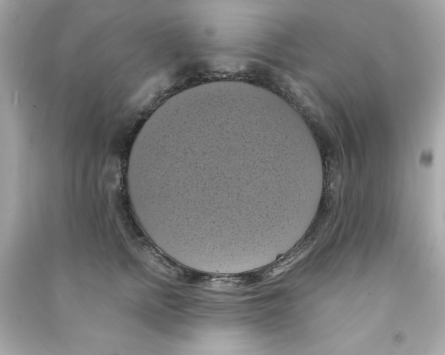 X0000090490758200708102218