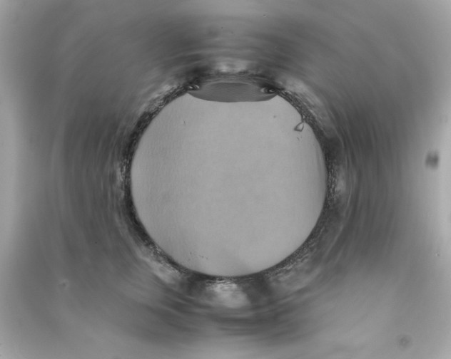 X0000090490759200708102218