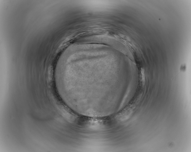 X0000090490760200708102218