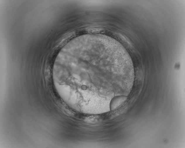 X0000090490761200708102218