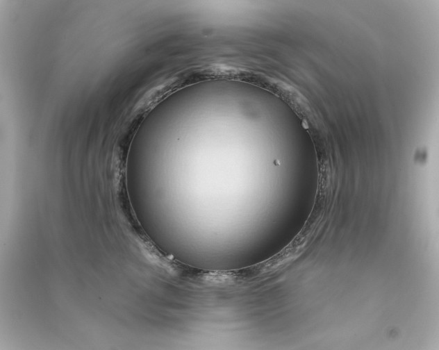 X0000090490762200708102218