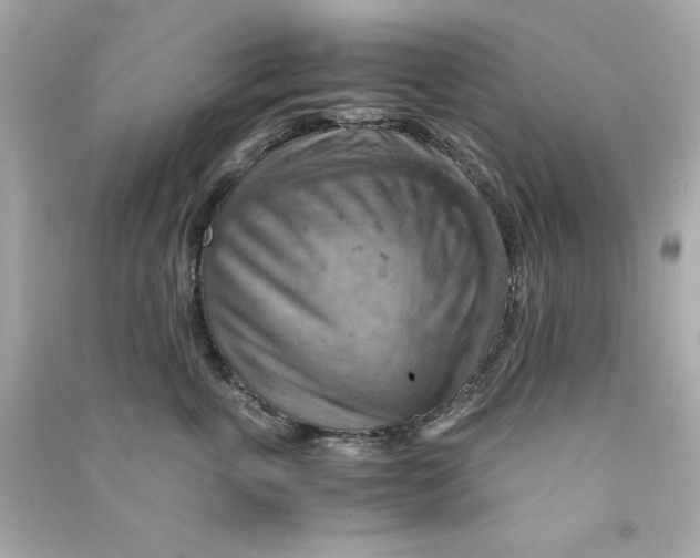 X0000090490763200708102218