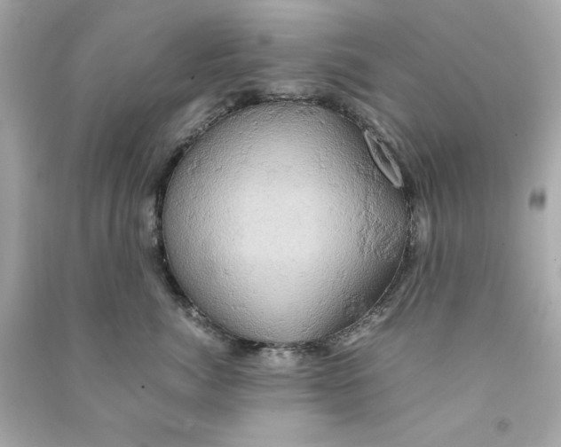 X0000090490764200708102218