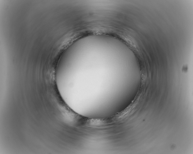 X0000090490766200708102218