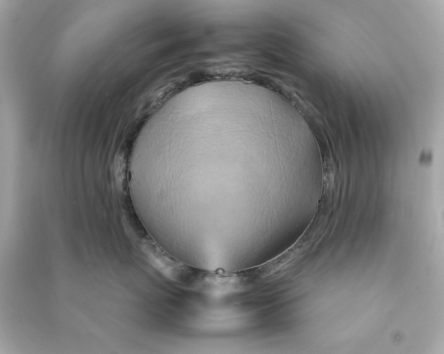 X0000090490767200708102218