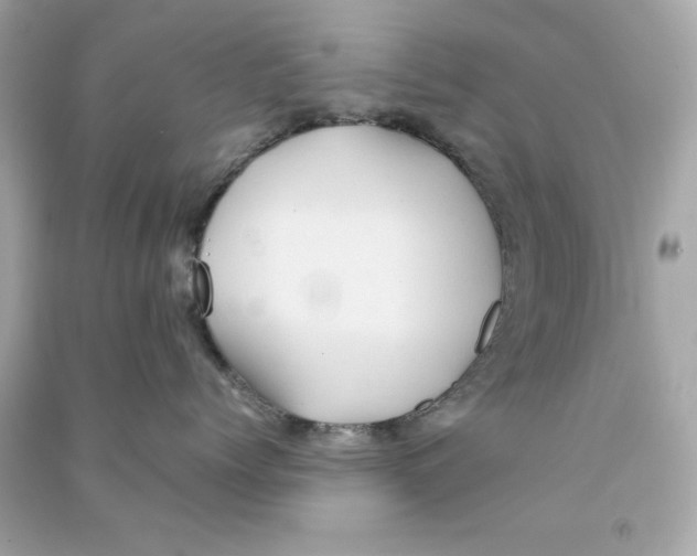 X0000090490768200708102218