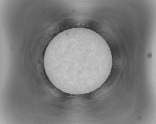 X0000090490769200708102218