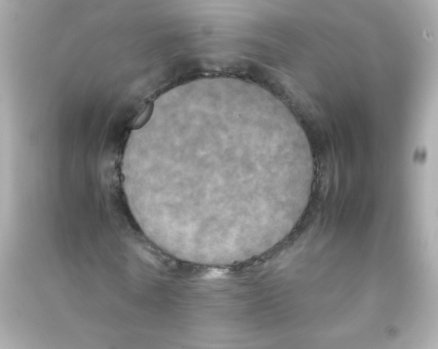 X0000090490770200708102218