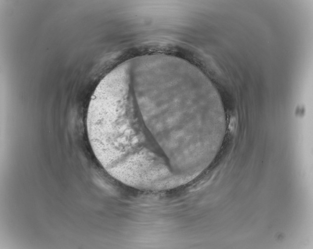 X0000090490771200708102218