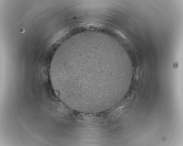 X0000090490774200708102218