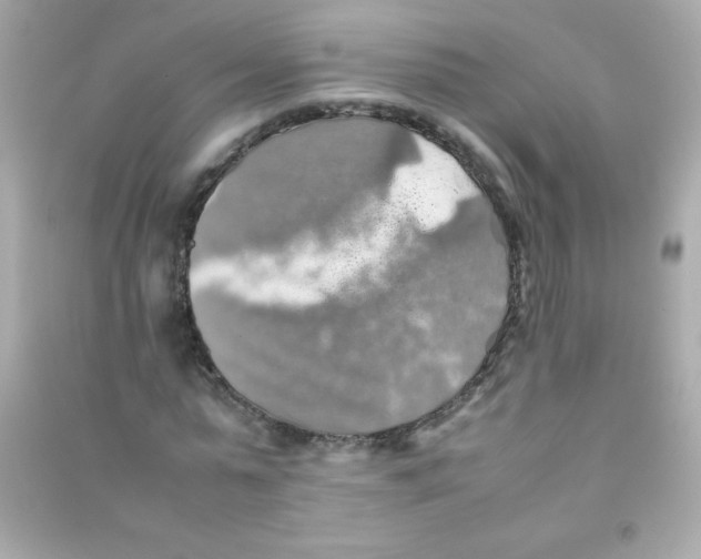 X0000090490775200708102218