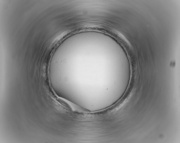 X0000090490777200708102218