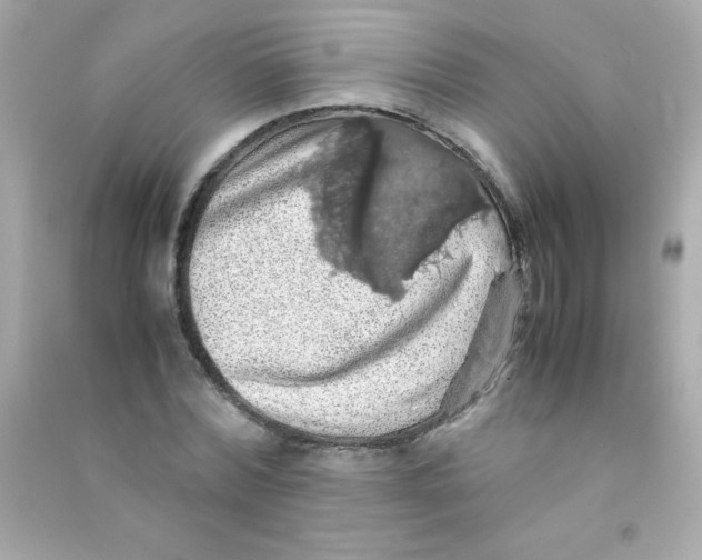 X0000090490780200708102218