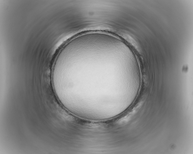 X0000090490781200708102218