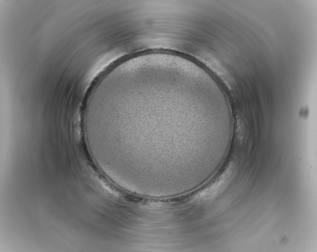 X0000090490782200708102218