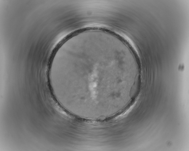 X0000090490783200708102218