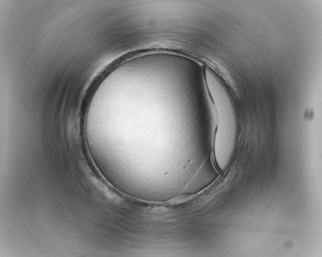 X0000090490784200708102217