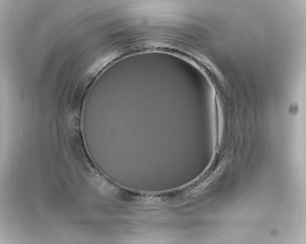 X0000090490785200708102217