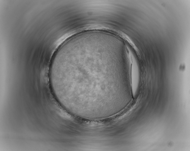 X0000090490786200708102217