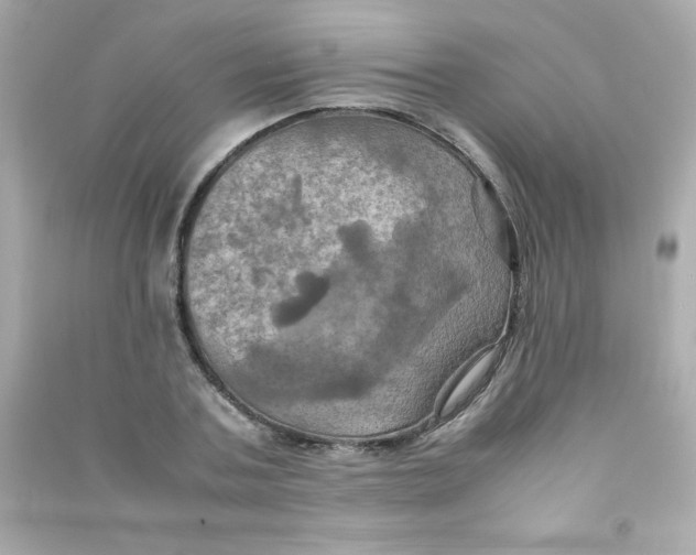 X0000090490787200708102217