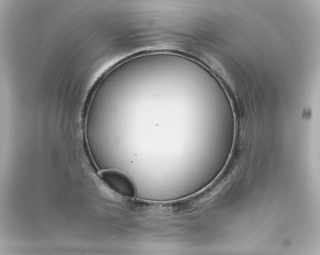 X0000090490789200708102217