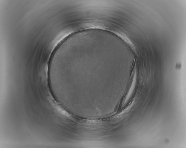 X0000090490790200708102217