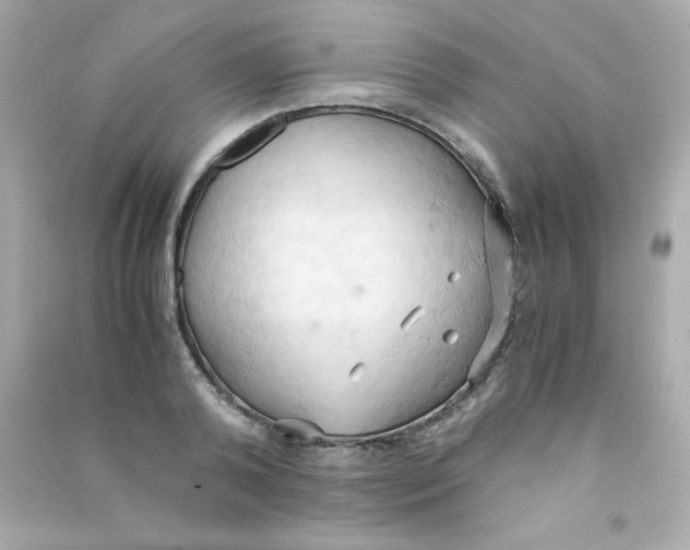 X0000090490792200708102217