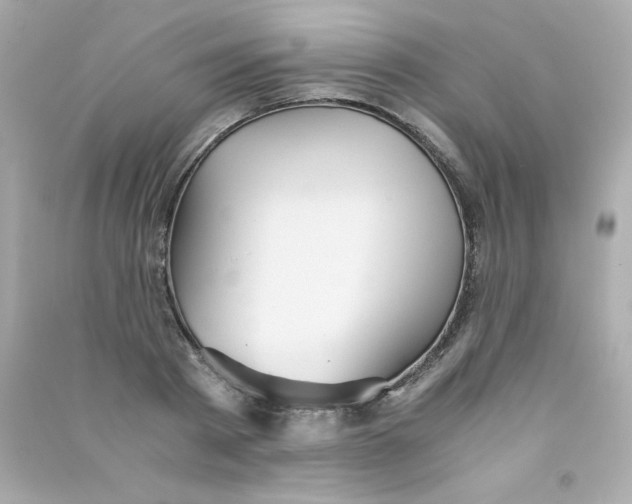 X0000090490793200708102217