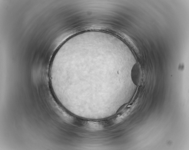 X0000090490794200708102217