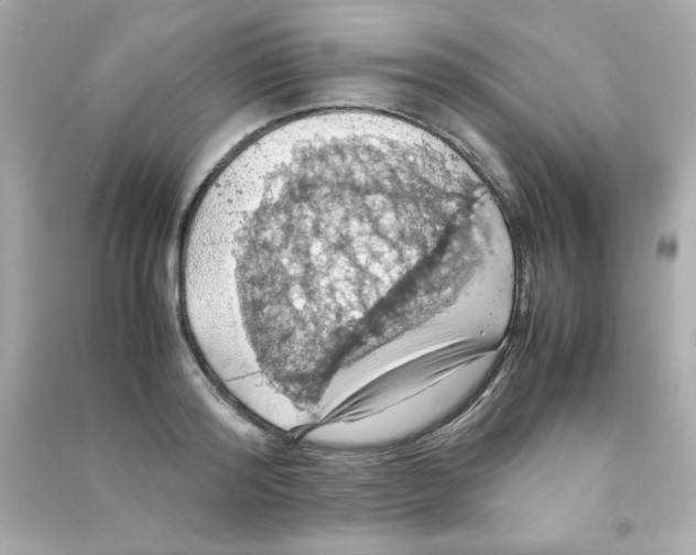 X0000090490796200708102217