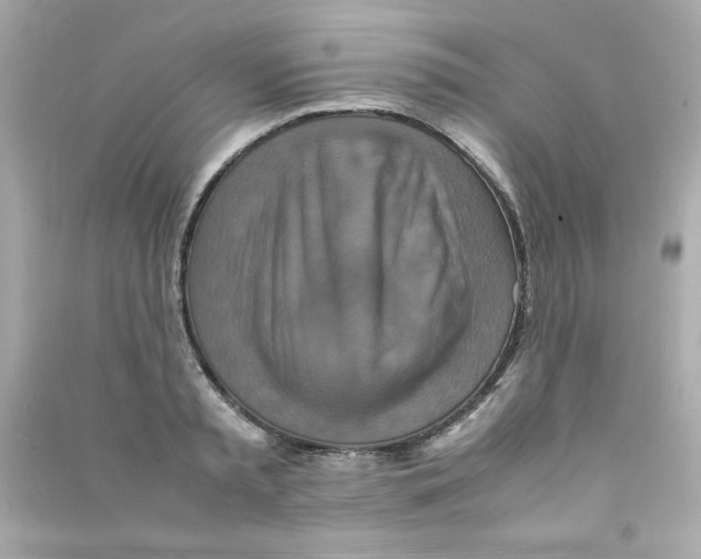 X0000090490797200708102217