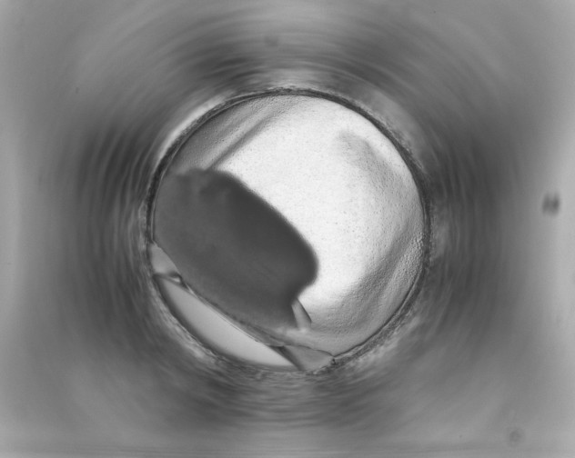 X0000090490798200708102217