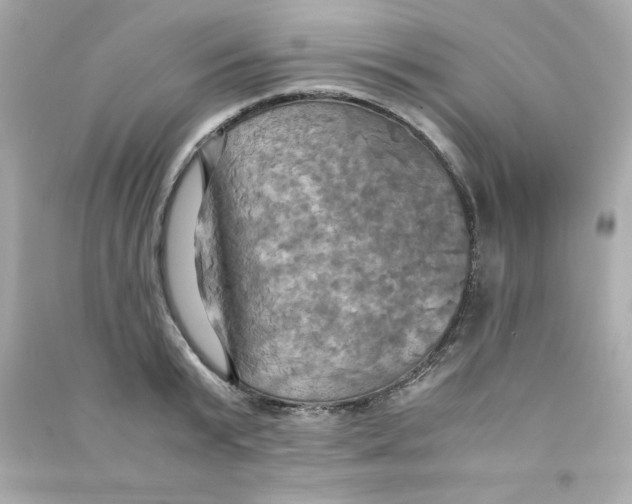 X0000090490799200708102217