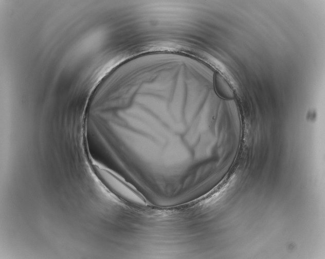 X0000090490802200708102217