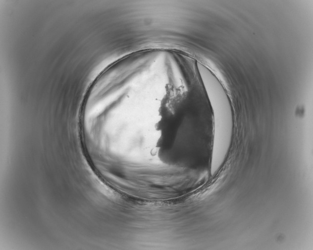 X0000090490803200708102217