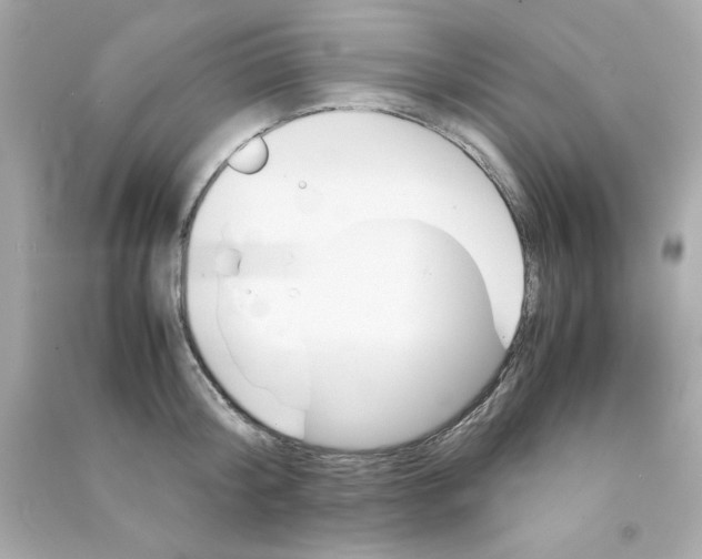 X0000090490804200708102217