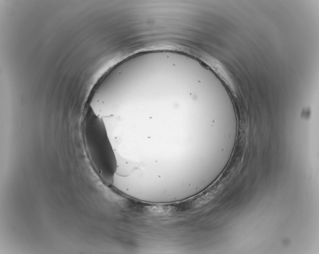 X0000090490805200708102217